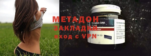 шишки Арсеньев