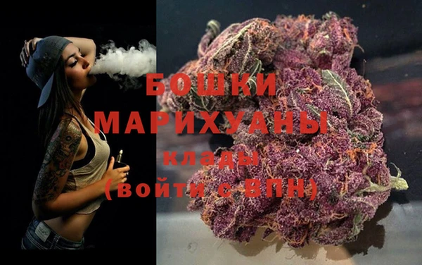 шишки Арсеньев