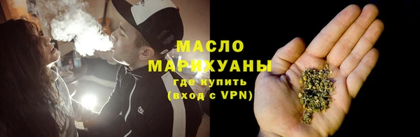 шишки Арсеньев