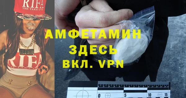 шишки Арсеньев