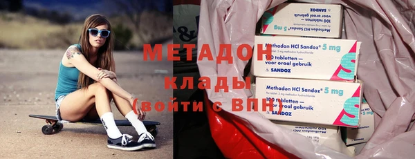 шишки Арсеньев