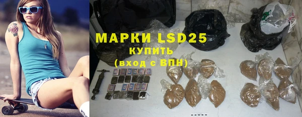 шишки Арсеньев