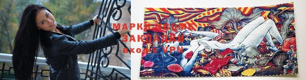шишки Арсеньев