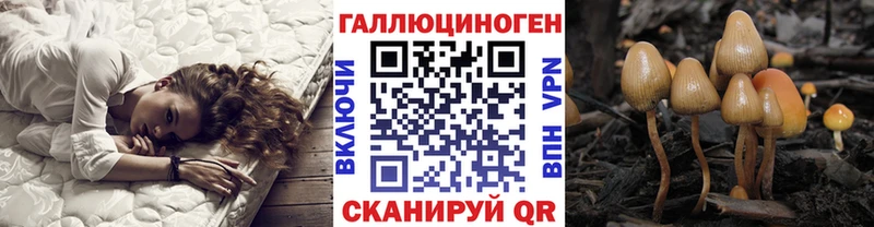Псилоцибиновые грибы GOLDEN TEACHER  что такое наркотик  Орёл 