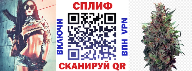блэк спрут ссылка  Орёл  Конопля планчик 